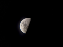 The Moon last night  Dobson GSO 