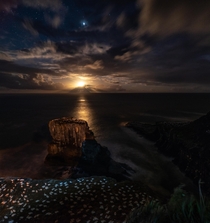 The Moon setting over a Gannet colony in New Zealand 