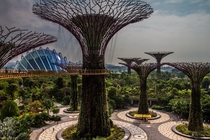 The most futuristic place I have ever visited Singapores Gardens by the Bay 