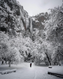 The most snow weve seen in  years -Yosemite Ranger