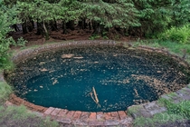 The Mysterious Abandoned Torwood Blue Pool The Purpose and Builders of Which Have Never Been Discovered x OC