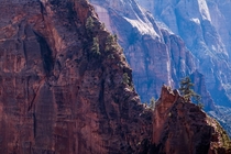 The narrow spine of Angels Landing in Zion National Park Hiking up this spine will cure or kill anyone with Acrophobia 