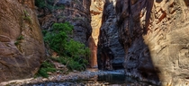 The narrows in Zion national park Utah 