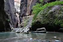 The Narrows in Zion National Park Utah 