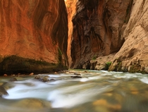 The Narrows in Zion National Park Utah 