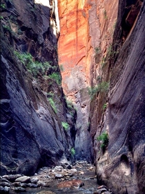The Narrows Zion Canyon UT 
