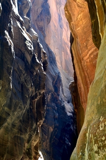 The Narrows - Zion National Park 