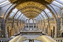 The Natural History Museum in London England 