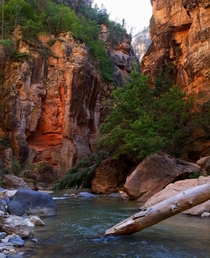 The natural unedited colors of nature The Narrows at Zion National Park UT 