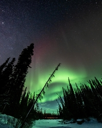 The Northern Lights over Marsh Lake Yukon Canada  OC henryhawkins