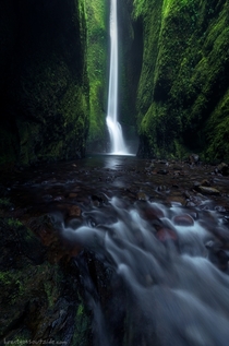 The Oneonta and only Oneonta Gorge in Columbia River Gorge Oregon sorry for the terrible pun 