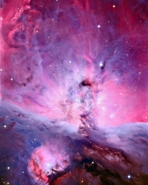 The orion nebula although overused is still just Beautiful