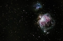 The Orion nebula from my Bortle  backyard 