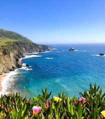 The Pacific Coast of California 