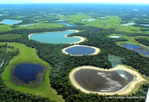 The Pantanal Wetlands Brazil by Lucas Leuzinger 