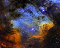 The Pelican Nebula in Gas Dust and Stars 