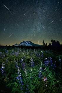 The Perseid meteor shower over Mt Hood 