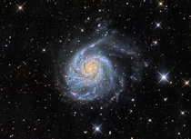 The Pinwheel Galaxy M 