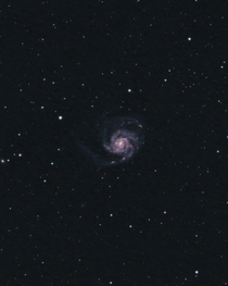 The Pinwheel Galaxy  Million Light Years Away Imaged from my City Backyard