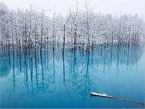 The Pond That Changes Color_ Biei In Hokkaido Japan By Kent Shiraishi 