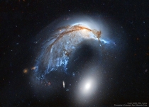 The Porpoise Galaxy