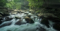 The Ramsey Prong of the Great Smoky Mountains National Park- Greenbrier 