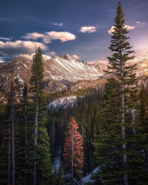 The Readhead - Rocky Mountain National Park CO 