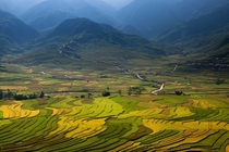 The rice paddies of Vietnam by Sarawut Intarob 