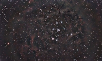 The Rosette Nebula  C 