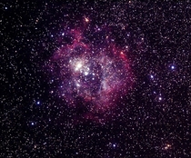 The Rosette Nebula from New Zealand last night