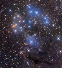 The Sailboat Cluster and Nebula