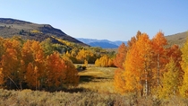 The seasons roll on by Mono County CA 
