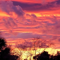 The Sky is On Fire Sunset Feb   Northeast Florida x OC