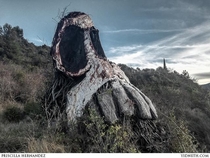 The Sleepless Park Parque de los Desvelados Spain Giant Skulls made by an artist obsessed with Death with twigs so they would become undone after his passing It has up to nine giant skulls All decaying now 