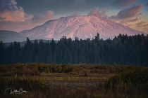 The still growing volcano Mount St Helens in Washington state OC