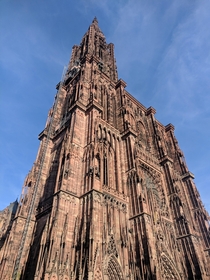 The Strasbourg Cathedral 