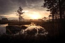 The sun slowly rising over a large wetland area located in Sweden 