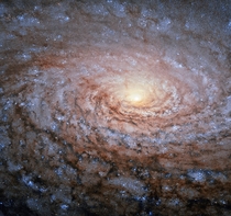 The Sunflower Galaxy M 