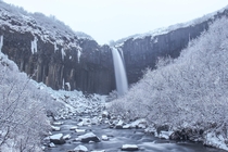 The Svartifoss waterfall in Iceland 