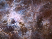 The Tarantula Nebula 