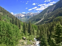 The top of Bear Creek Trail in Telluride Colorado 
