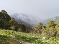 The top of Hatu peak Himachal Pradesh India 