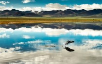 The tranquility and beauty of Tibet 