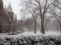 The University of Chicago after a snowfall 