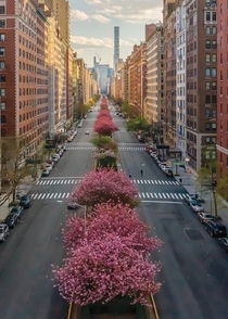 The Upper East Side New York Image - Jerome Strauss