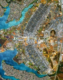 The urban design of Brasilia resembling an airplane from above Image by Maxar