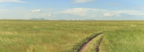 The vast Serengeti Plains Tanzania 