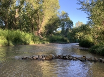 The Verde River near Cottonwood AZ 