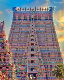 The vibrant Sri Ranganathaswamy Temple India
