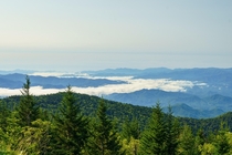 The view from Clingmans Dome in the Great Smoky Mountains National Park 